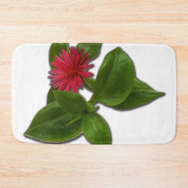 Item preview, Aptenia cordifolia is a species of succulent plant in the iceplant family known by the common names heartleaf iceplant. designed and sold by janesg.