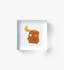 Doubtful... indubitably! Acrylic Block