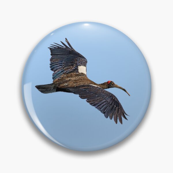 Item preview, Red Naped Ibis Indian Black Ibis Color Design designed and sold by designsasstultd.