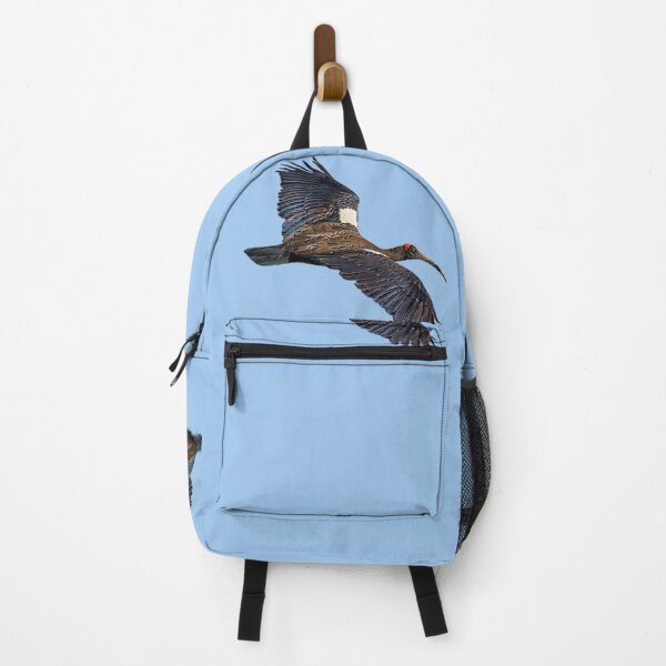 Item preview, Red Naped Ibis Indian Black Ibis Color Design designed and sold by designsasstultd.