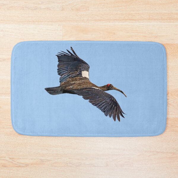 Item preview, Red Naped Ibis Indian Black Ibis Color Design designed and sold by designsasstultd.