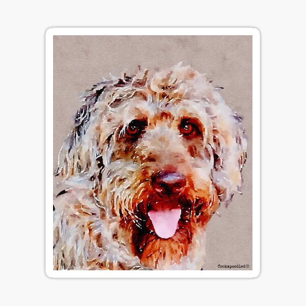 Australian Labradoodle Merch Gifts for Sale Redbubble