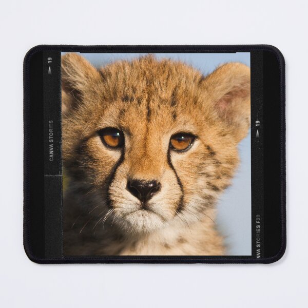 Item preview, Cheetah designed and sold by X-NEC.