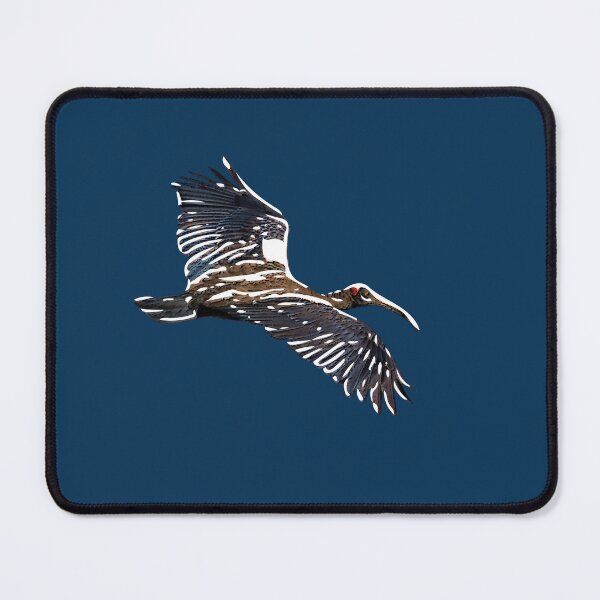 Item preview, Red Naped Ibis Indian Black Ibis White Alternate Design designed and sold by designsasstultd.