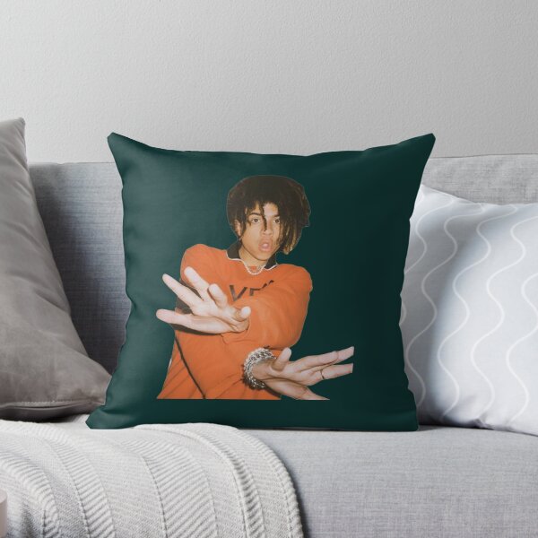 iann dior Coussin
