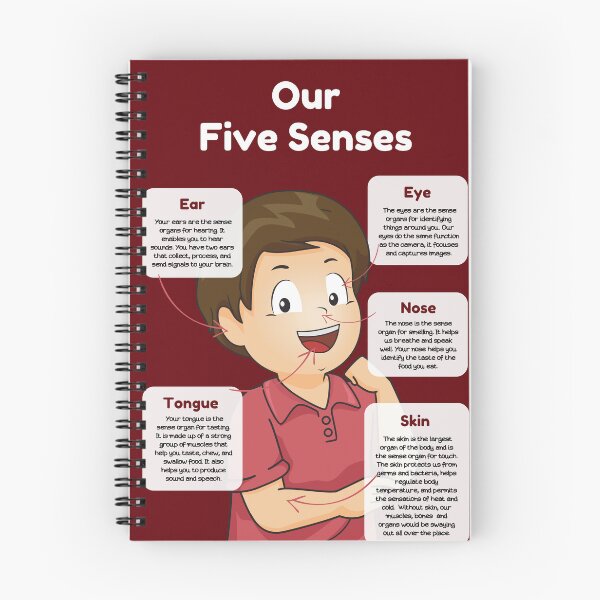 Item preview, Our five senses educational poster designed and sold by jassnour.