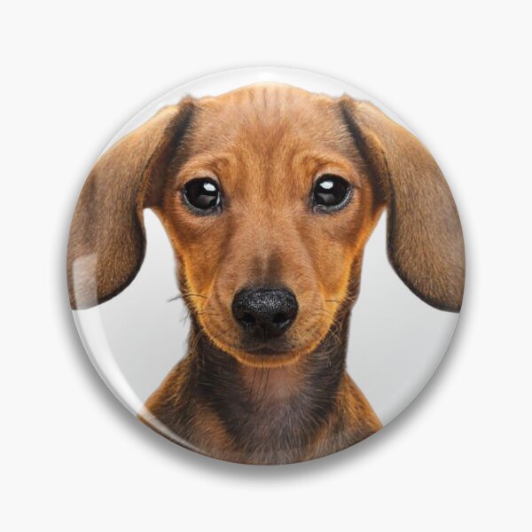 Item preview, I love dachshund - dog face designed and sold by Jero-fan.