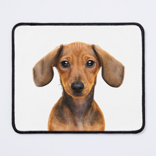 Item preview, I love dachshund - dog face designed and sold by Jero-fan.