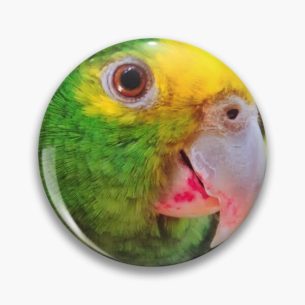Item preview, Green parrot Mexico designed and sold by Travelways.