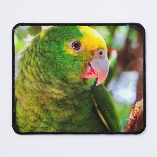 Item preview, Green parrot Mexico designed and sold by Travelways.