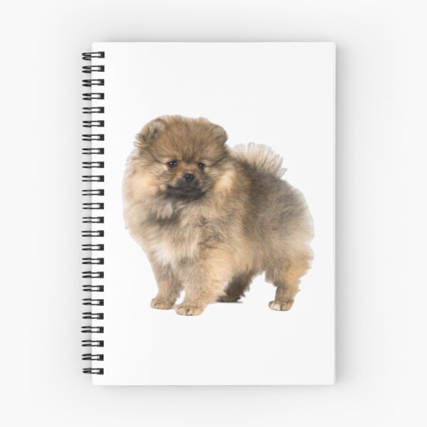 Item preview, spitz puppy - dog face designed and sold by Jero-fan.