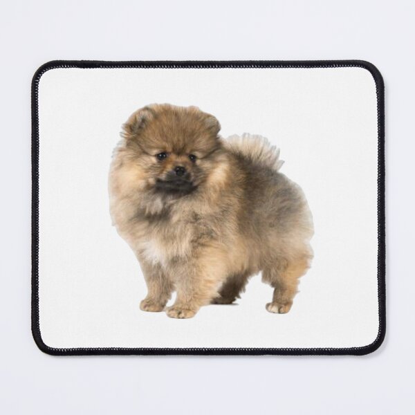 Item preview, spitz puppy - dog face designed and sold by Jero-fan.