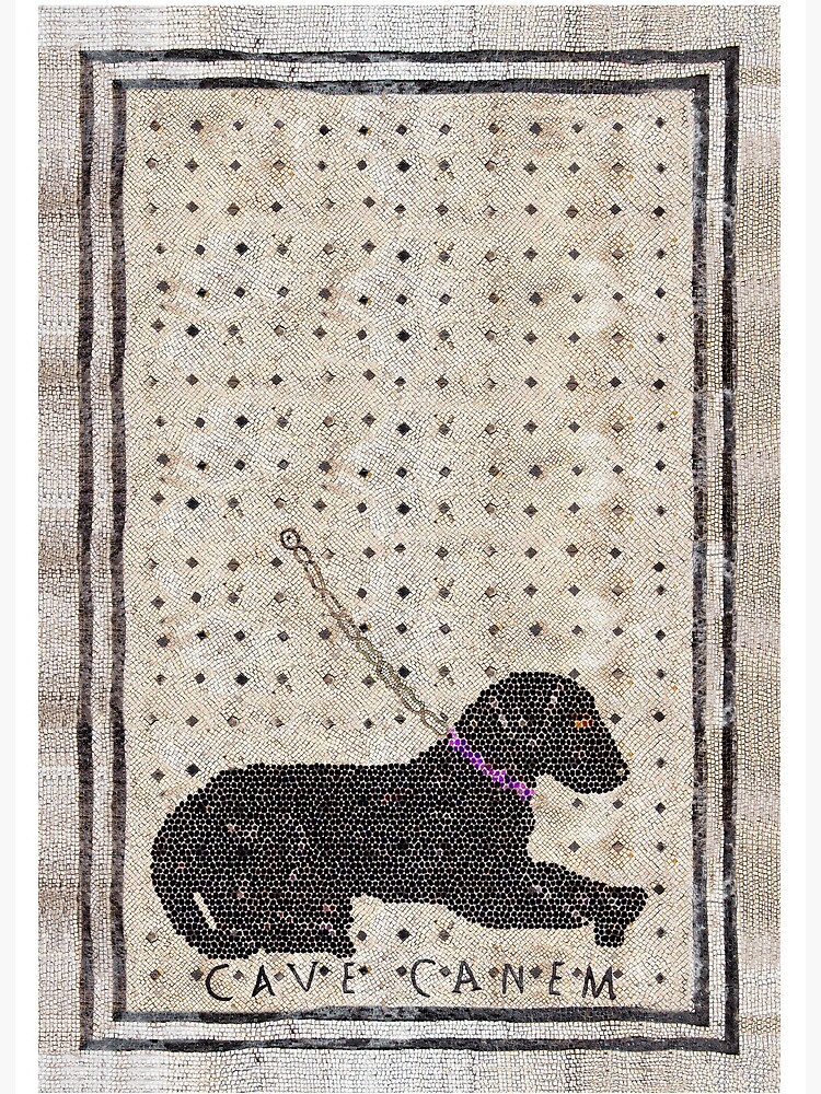 Roman CAVE CANEM Mosaic (Black Lab) Pet Mat for Sale by Goosekaid