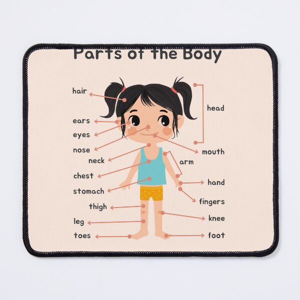 Item preview, Parts of the body educational poster designed and sold by jassnour.