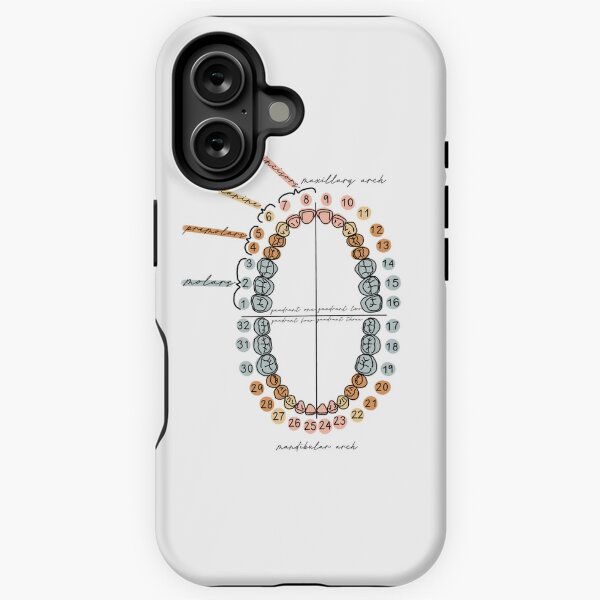 Vista previa del artículo con la obra «Numeración universal de dientes», diseñado y vendido por madelinevon.