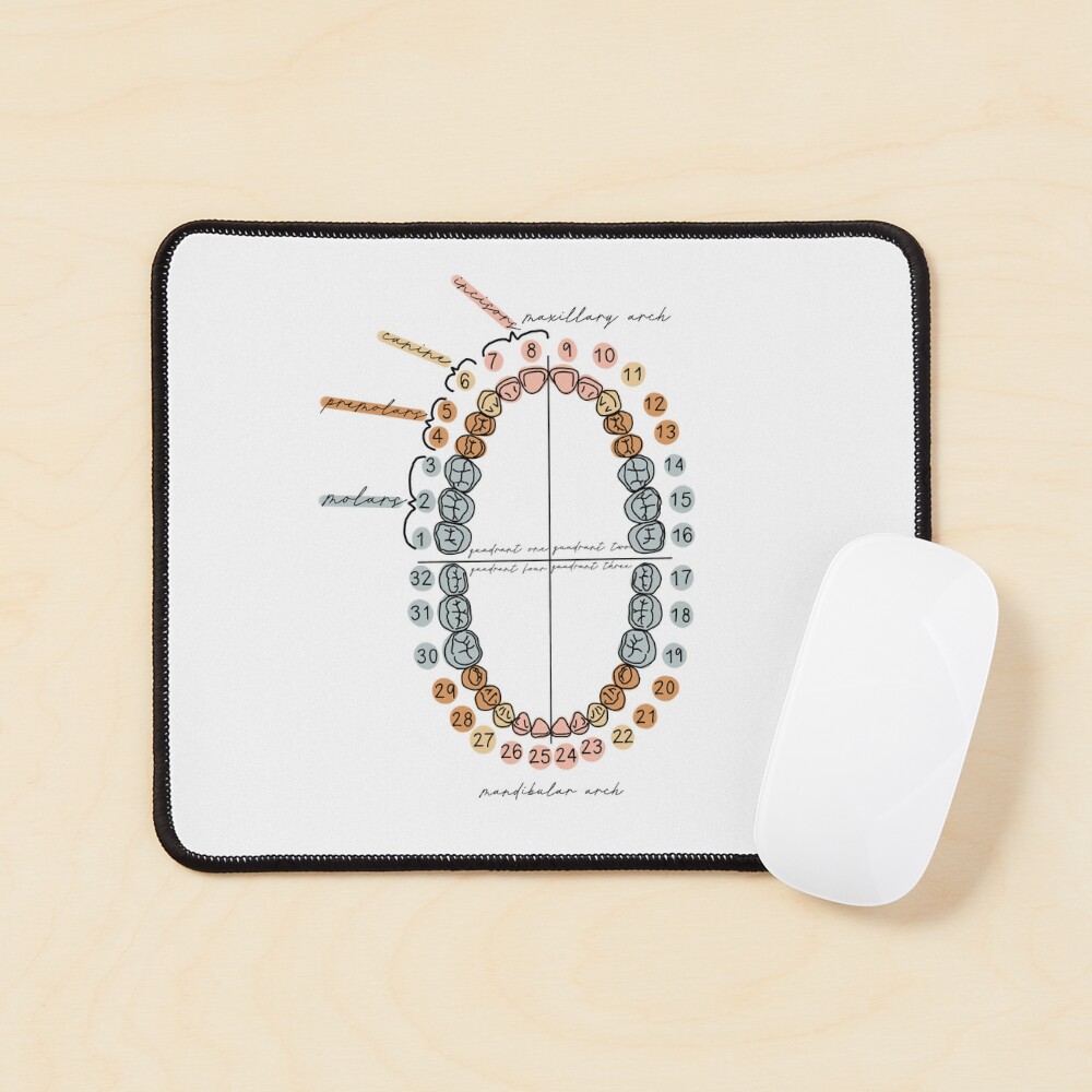 Universal Tooth Numbering Journal