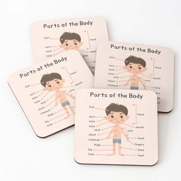 Item preview, Boys Parts of the body educational poster designed and sold by jassnour.