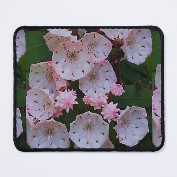 Item preview, Mountain Laurel Blooms designed and sold by ssmathers.