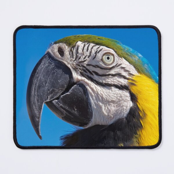 Item preview, Eye contact designed and sold by Travelways.
