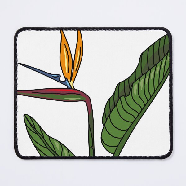 Item preview, Strelitzia flower designed and sold by floralfan.