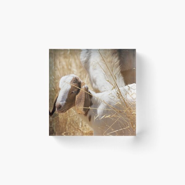 Item preview, Beauty designed and sold by Ellen Cotton.
