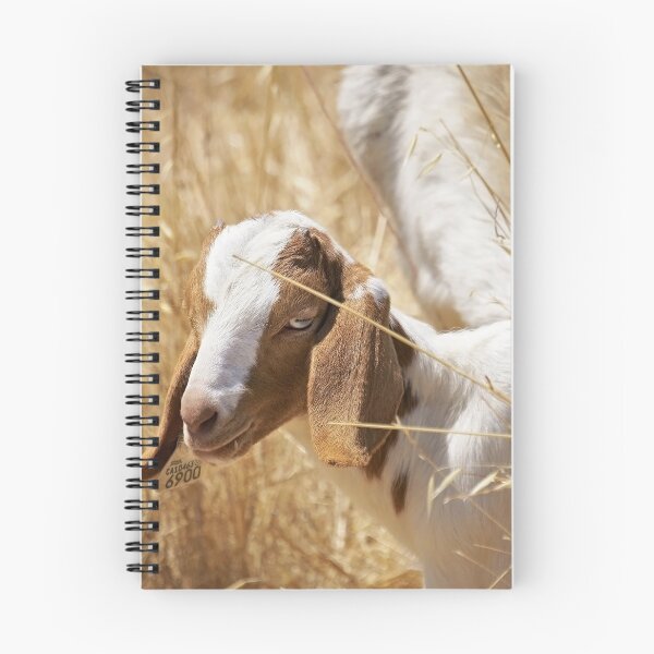 Item preview, Beauty designed and sold by Ellen Cotton.