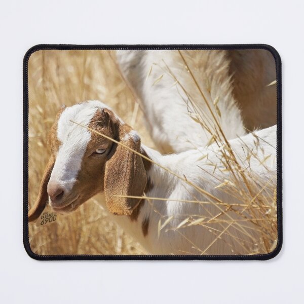 Item preview, Beauty designed and sold by Ellen Cotton.