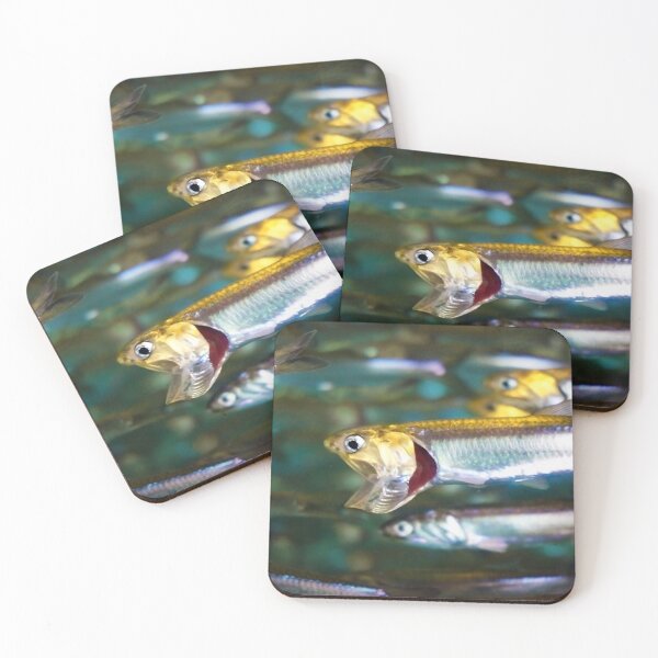 Item preview, Hungry, Hungry Anchove designed and sold by Ellen Cotton.