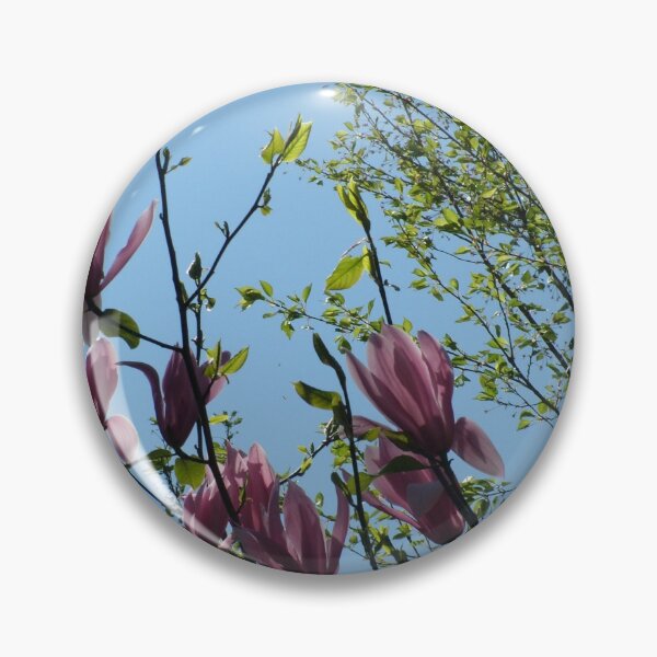 Artikelvorschau, purple magnolia flowering tree in blue sky entworfen und verkauft von naturematters.