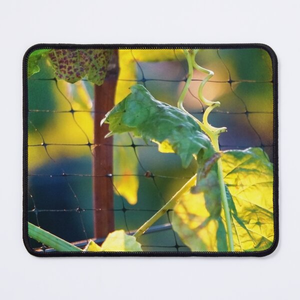 Item preview, Autumn Vines designed and sold by Ellen Cotton.