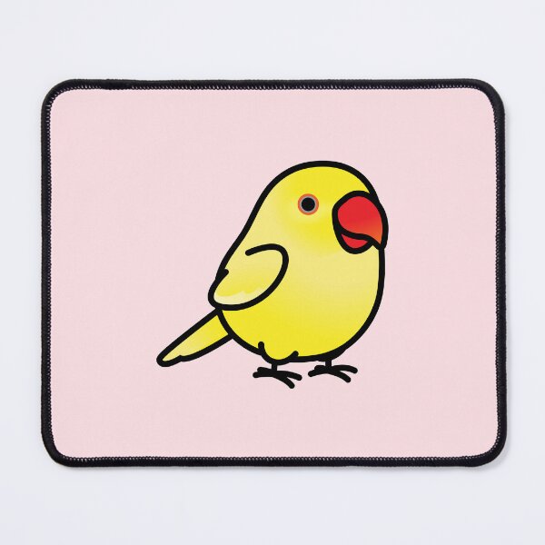 Item preview, Chubby Yellow Lutino Indian Ringneck Parakeet - Female designed and sold by birdhism.