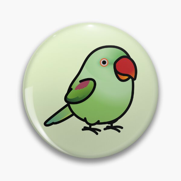 Item preview, Chubby Alexandrine Indian Ringneck Parakeet - Female designed and sold by birdhism.