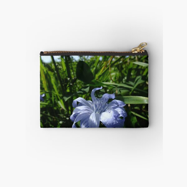 Item preview, Common Chicory (Cichorium intybus) designed and sold by IOMWildFlowers.