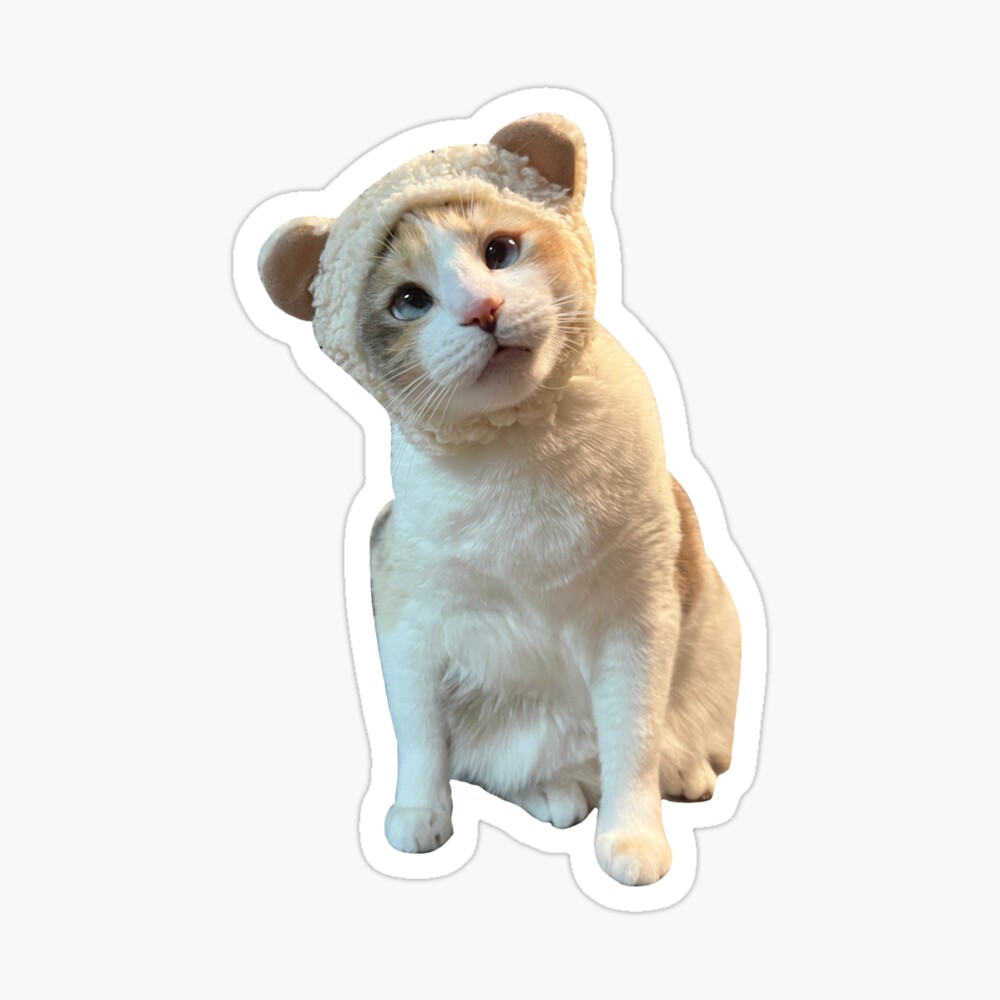 Steelers Cat Sticker for Sale by fatfatpankocat