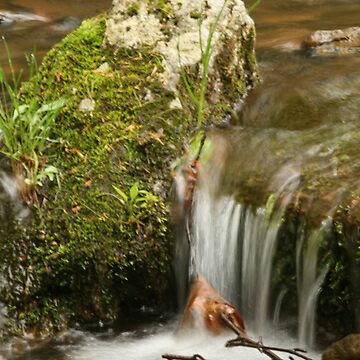 Artwork thumbnail, Rushing by Ann Rodriquez