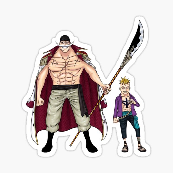 Devil Fruit One Piece Anime Gift Tori Tori No Mi Phoenix Marco White Beard  Pirates 