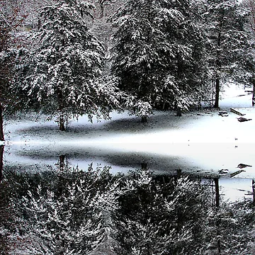 Artwork thumbnail, Cold reflection by Rick Friedle