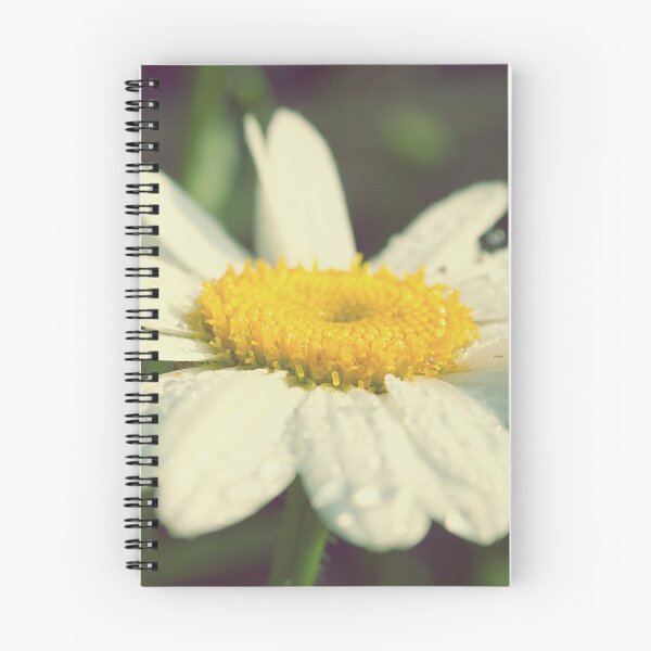 Item preview, Agfa Daisy designed and sold by Jacob Schouten.