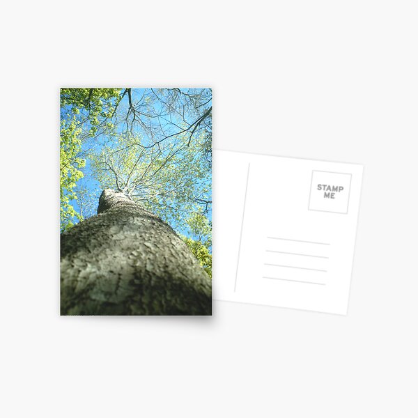 An Ant's life Postcard
