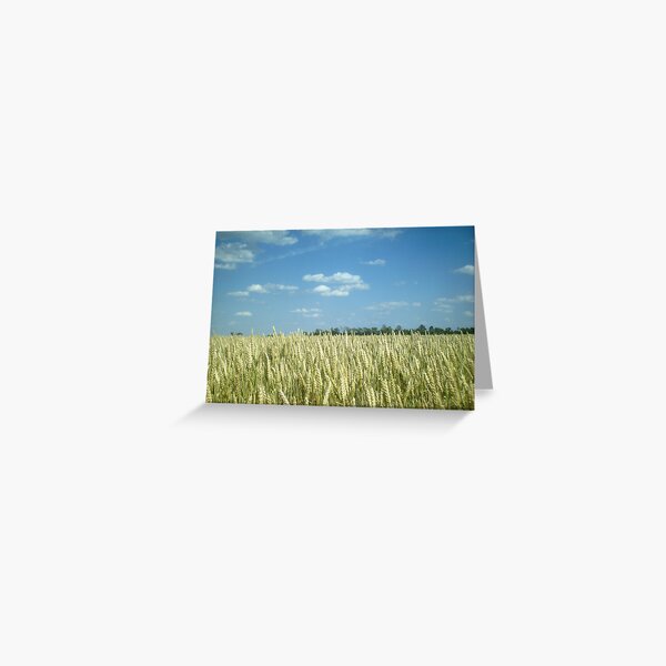Wheat Field - 2 Greeting Card