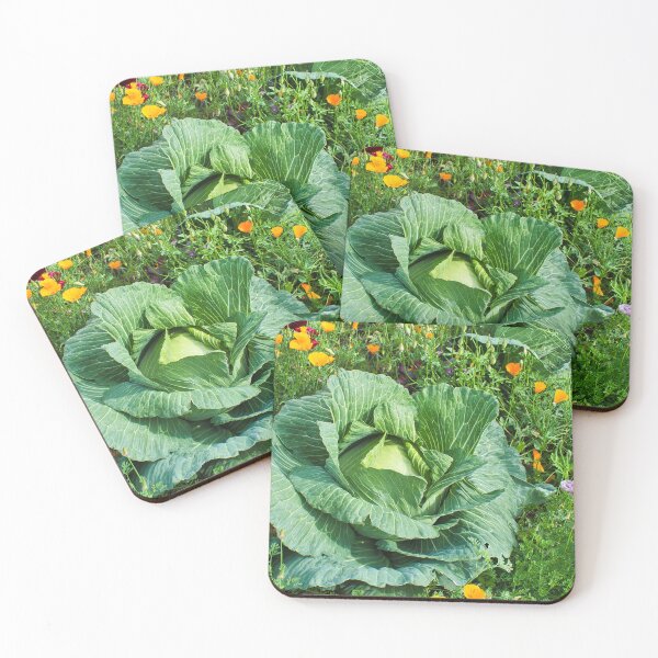 Item preview, Alaskan Cabbage and Peonies designed and sold by mahnkephotos.