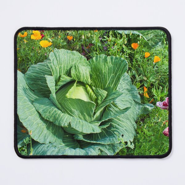 Item preview, Alaskan Cabbage and Peonies designed and sold by mahnkephotos.