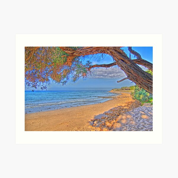 Autumn in Torquay Art Print