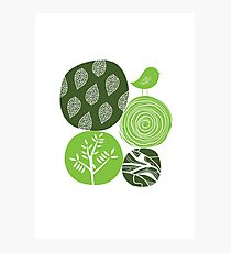 Abstract Nature Green Photographic Print