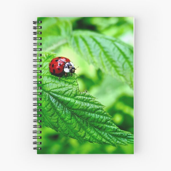 Item preview, Ladybug walking along curved leaf designed and sold by BBrightman.
