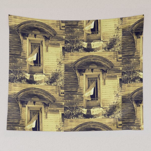 Item preview, Lace Curtain Door with Broken Window abandoned house rural decay designed and sold by jemvistaprint.