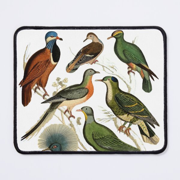 Item preview, Pigeons Exotic Bird Painted Art Design designed and sold by IncrediMi.