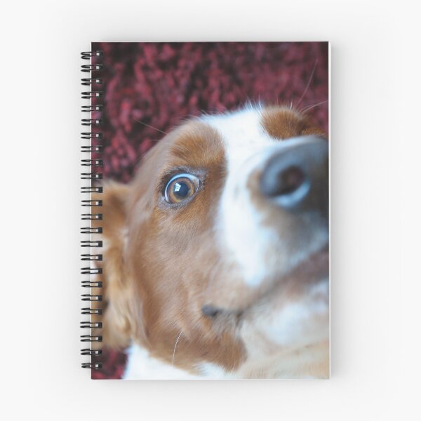 Item preview, Crazy Lloyd! designed and sold by RJDowns.