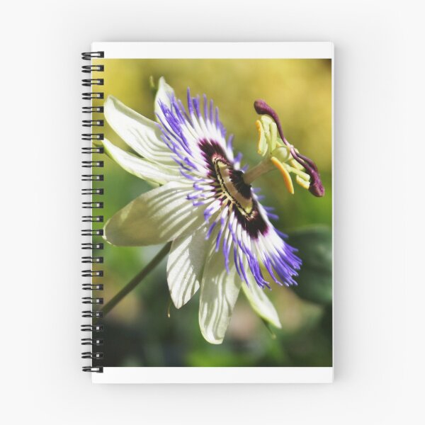 Item preview, Passiflora designed and sold by susanellen.