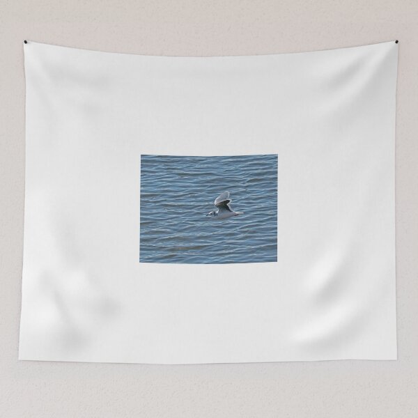 Item preview, Little Gull over Water  designed and sold by Sue Robinson.